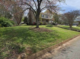 Penney H.'s lawn care service result