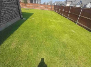 Tarun S.'s lawn care services service result