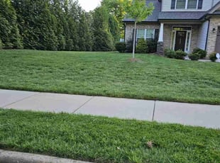 Robert&Sue d.'s turf maintenance service result