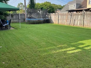 Diamond F.'s residential landscaping service result