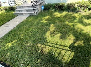 Kathryn T.'s Bush Trimming service result