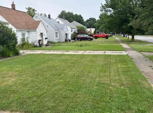 Guadalupe L.'s grass maintenance service result