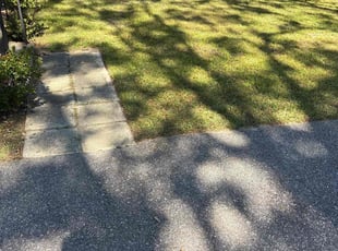 Elizabeth S.'s grass cutting service result