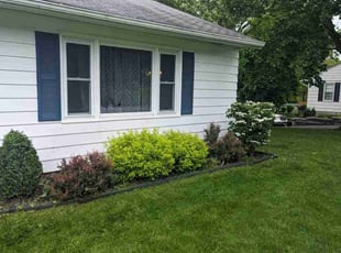 Myra B.'s turf care service result