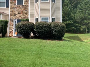 Amanda D.'s Bush Trimming service result