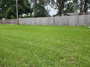 Trisha W.'s lawn care service result