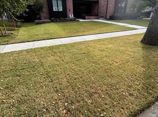 Mark A.'s turf care service result