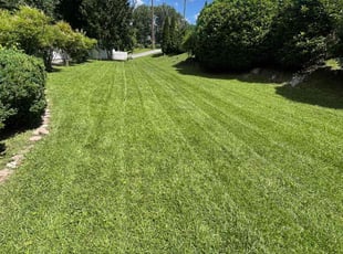 Jasmine W.'s grass maintenance service result