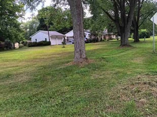Elizabeth B.'s turf care service result