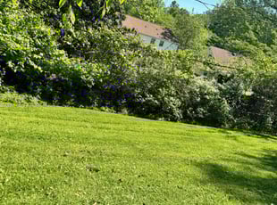 Jennifer H.'s grass maintenance service result