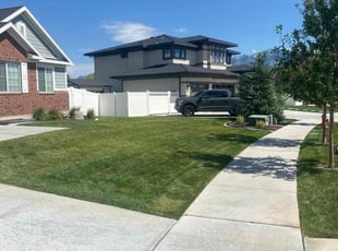 Alan T.'s lawn care services service result