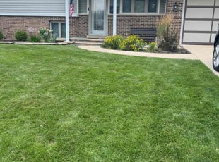 Elizabeth K.'s landscaping service result