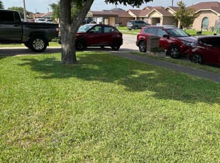 Tevin M.'s lawn service service result