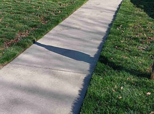 Bob P.'s grass cutting service result