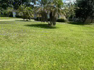 Gabrielle F.'s turf care service result