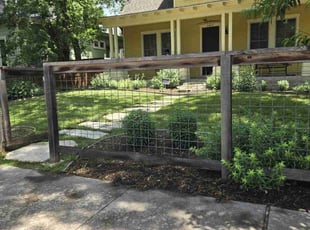 Amalia L.'s grass maintenance service result