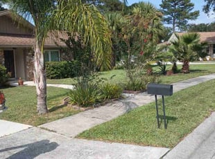 David H.'s turf care service result