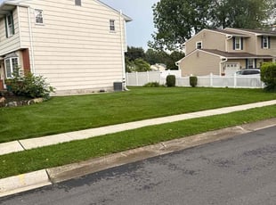 Serena C.'s lawn service service result