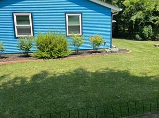 Amro O.'s lawn care service result