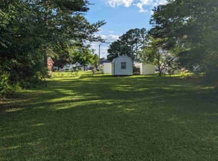 Jaime D.'s lawn care service result