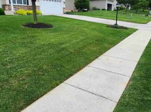 Sharon N.'s lawn care service result