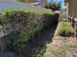 Wise B.'s Bush Trimming service result