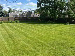 Paul A.'s lawn maintenance service result