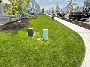 Donitta E.'s yard maintenance service result