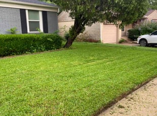 Jackie A.'s lawn service service result