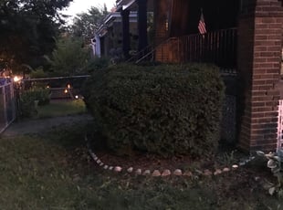 Eddie D.'s Bush Trimming service result