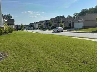 Corbin B.'s turf care service result