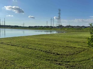 Joslyn U.'s turf maintenance service result