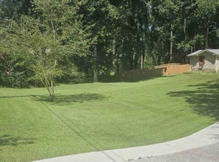 Adam S.'s grass maintenance service result