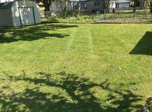 Sarah D.'s grass cutting service result