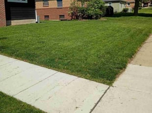 Timica M.'s turf care service result