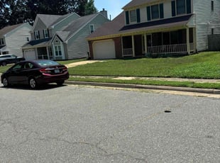 Susan P.'s lawn maintenance service result