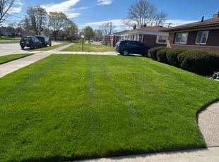 Adam A.'s turf maintenance service result