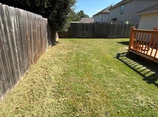 Kathryn C.'s grass cutting service result