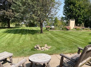 Connie S.'s lawn service service result