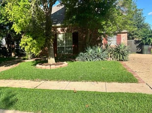 Kathleen R.'s turf care service result