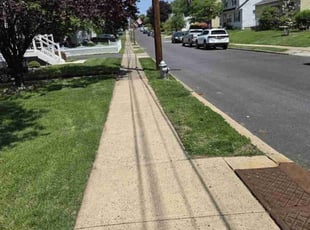 Justin M.'s turf maintenance service result