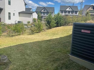 Sophia G.'s lawn service service result