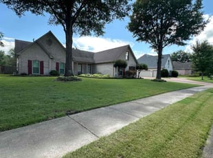 Julie S.'s turf care service result