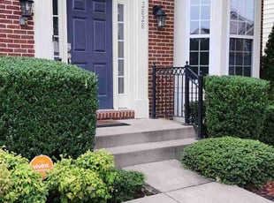Luis Q.'s Bush Trimming service result