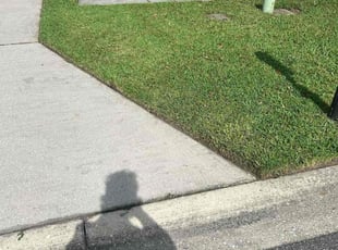 Kimberley P.'s lawn maintenance service result