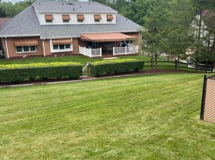 Darrell T.'s lawn care service result