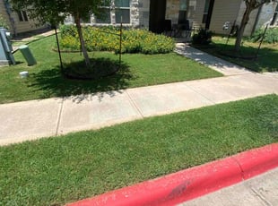 Renee N.'s turf maintenance service result