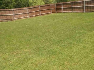 Rick W.'s lawn maintenance service result