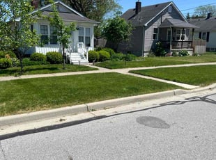 Bill H.'s lawn care service result