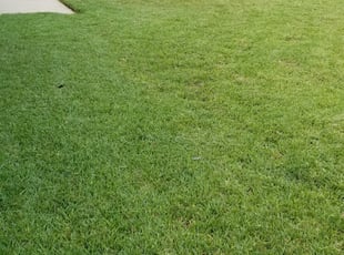 Carlos C.'s lawn care services service result